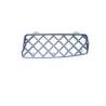 Grille De Marche Pied Avdt - Version Nue Métallique