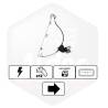 Leve Vitre Elec Dt Avec Moteur - Version 6 Pins Avec Confort