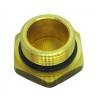 Bouchon Filetage M 22 x 150 - Version avec Joint
