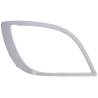 Enjoliveur Optique Dt - Version Gris