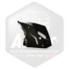 Entourage Anti Brouillard Dt - Version Plastique Noir